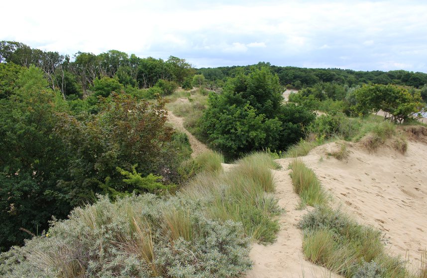 zandpad in de duinen