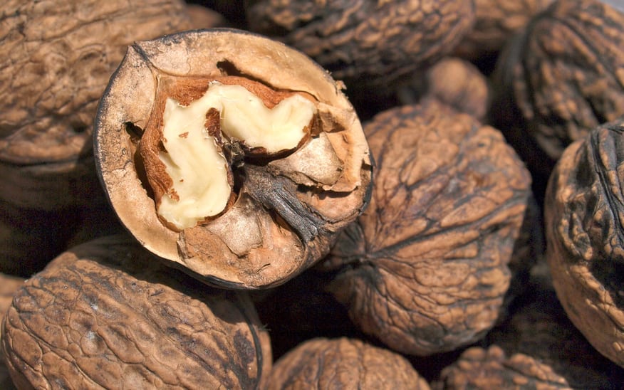 verse walnoten in een schaaltje