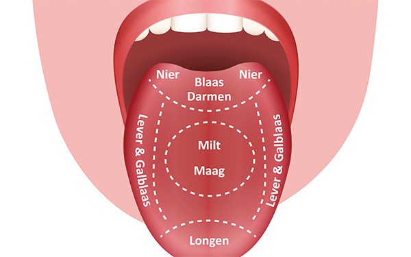 wat vertelt je tong orgaangebieden