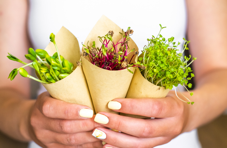 Vrouw met kiemen van zonnebloem, bieten en radijs verpakt in papier, vegetarische levensstijl