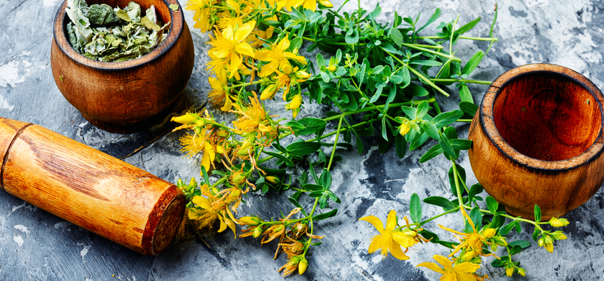 Sint janskruid hypericum perforatum stilleven met houten vijzels