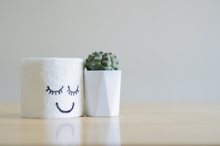 Close-up van een rol wit toiletpapier met een vrolijk gezichtje erop, met een cactus. Het concept van een slecht humeur, gezondheidsproblemen, constipatie en aambeien.