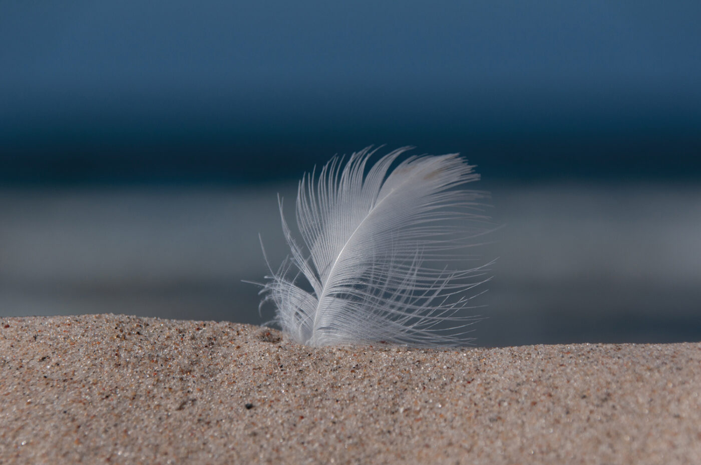 Veertje in het zand, zee achtergrond