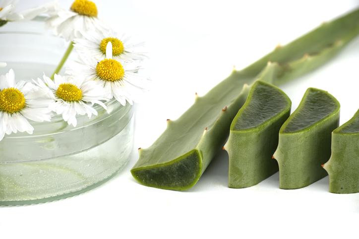 witte achtergrond en kamille bloemen en aloe vera als gezondheidsproducten bij aften