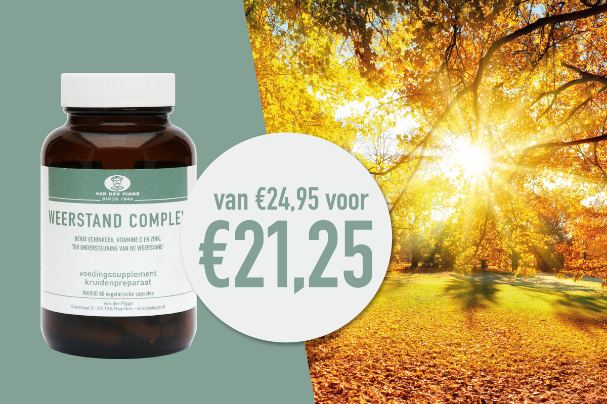 weerstand complex posteraanbieding met foto bos herfst